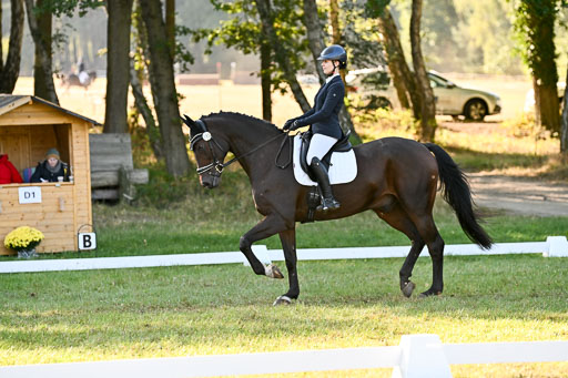  | 28092025 Dressur Intro _128 
