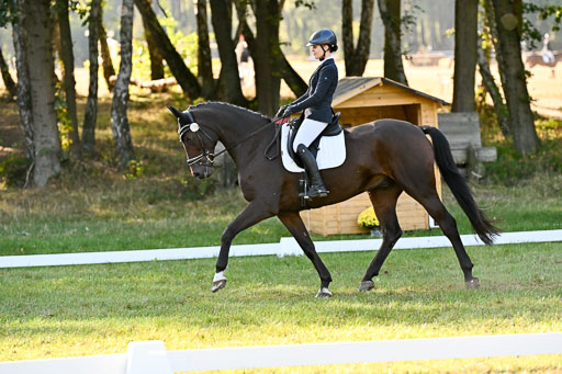  | 28092025 Dressur Intro _129 