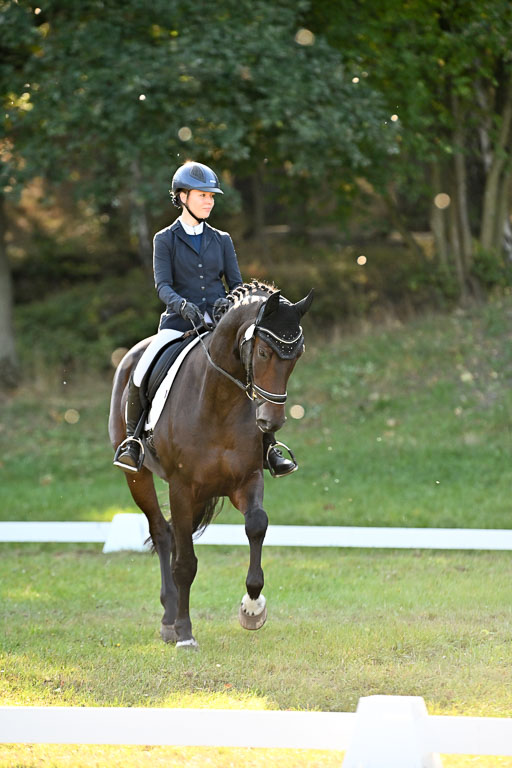  | 28092025 Dressur Intro _130 