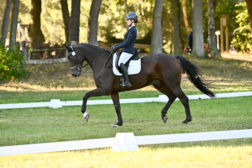  | 28092025 Dressur Intro _131 