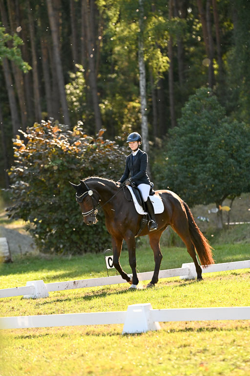  | 28092025 Dressur Intro _132 