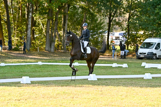 | 28092025 Dressur Intro _133 