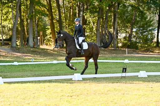  | 28092025 Dressur Intro _134 