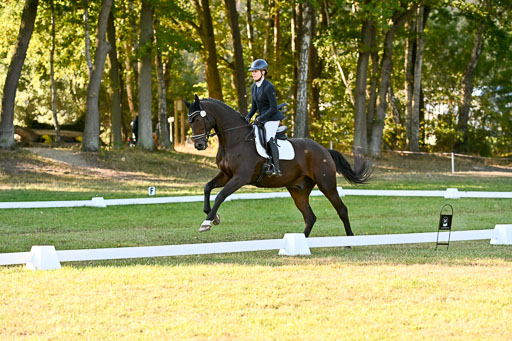 | 28092025 Dressur Intro _135 