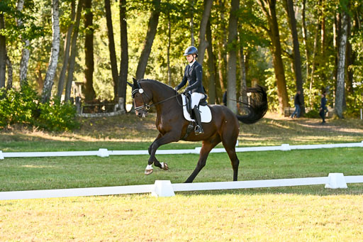  | 28092025 Dressur Intro _136 