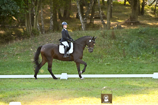  | 28092025 Dressur Intro _137 