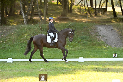  | 28092025 Dressur Intro _138 