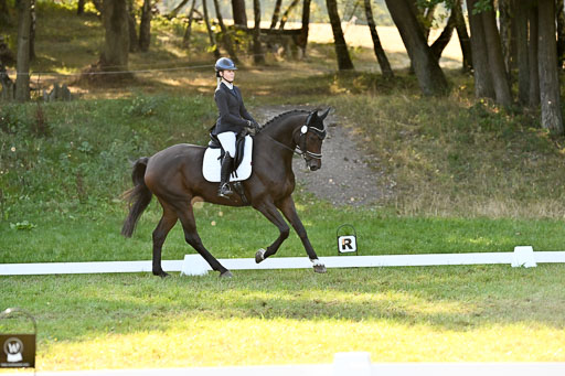  | 28092025 Dressur Intro _139 