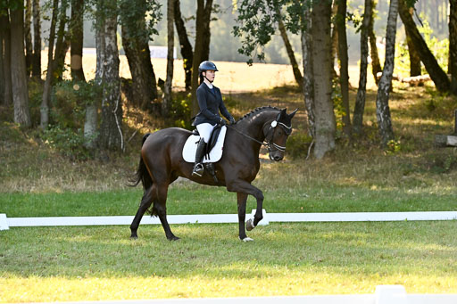  | 28092025 Dressur Intro _140 