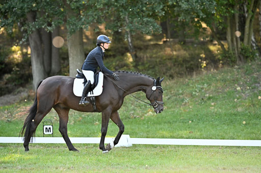  | 28092025 Dressur Intro _141 