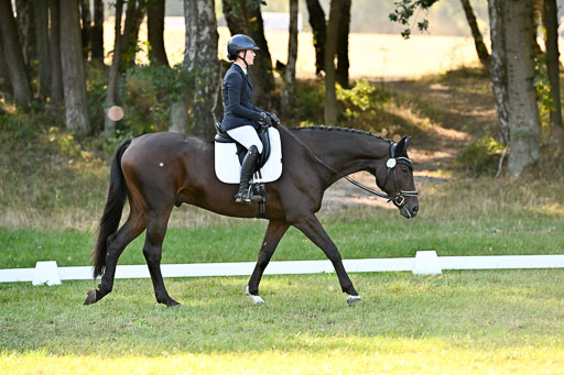  | 28092025 Dressur Intro _142 