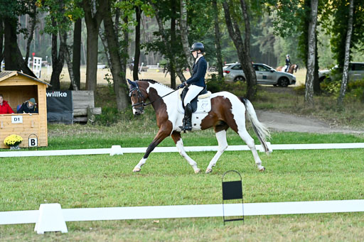  | 28092025 Dressur Intro 