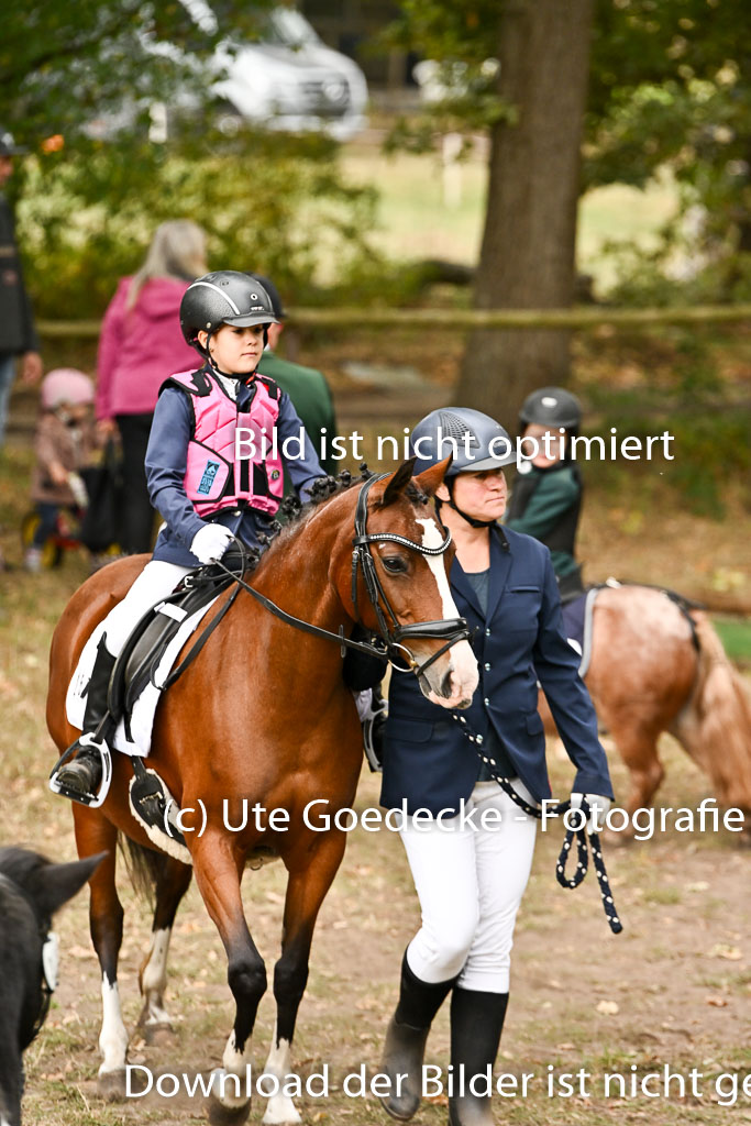  | 27092025  Führzügel WB _001 
