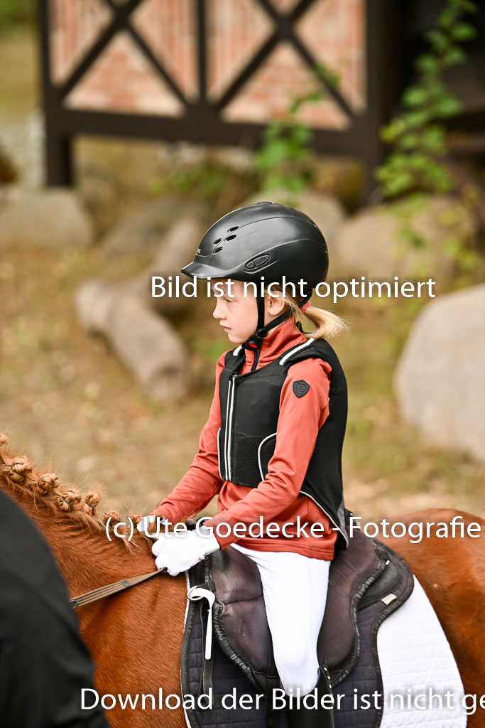  | 27092025  Führzügel WB _002 