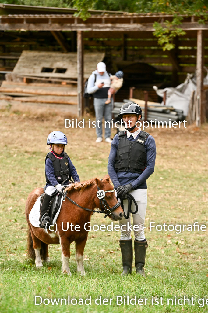 | 27092025  Führzügel WB _004 