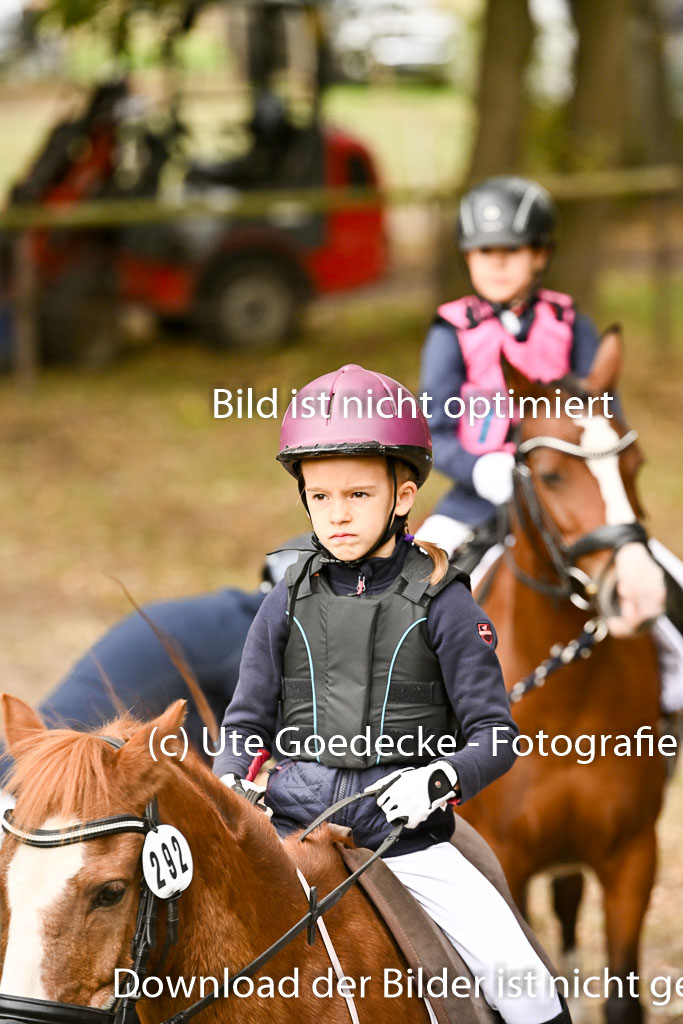  | 27092025  Führzügel WB _012 