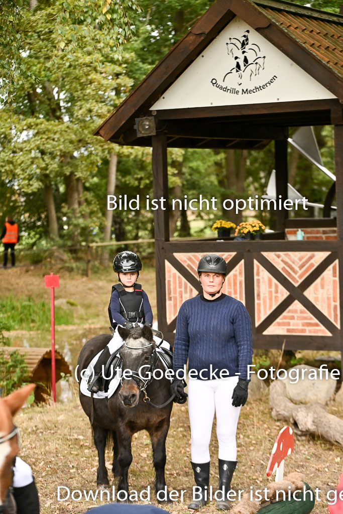  | 27092025  Führzügel WB _015 