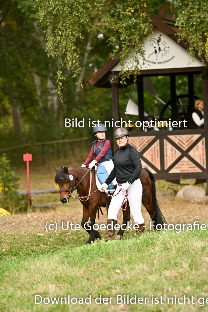  | 27092025  Führzügel WB _021 