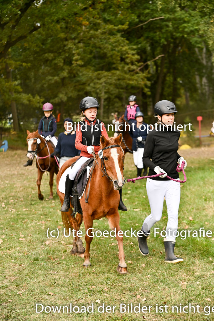  | 27092025  Führzügel WB _025 