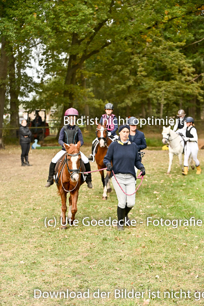  | 27092025  Führzügel WB _026 