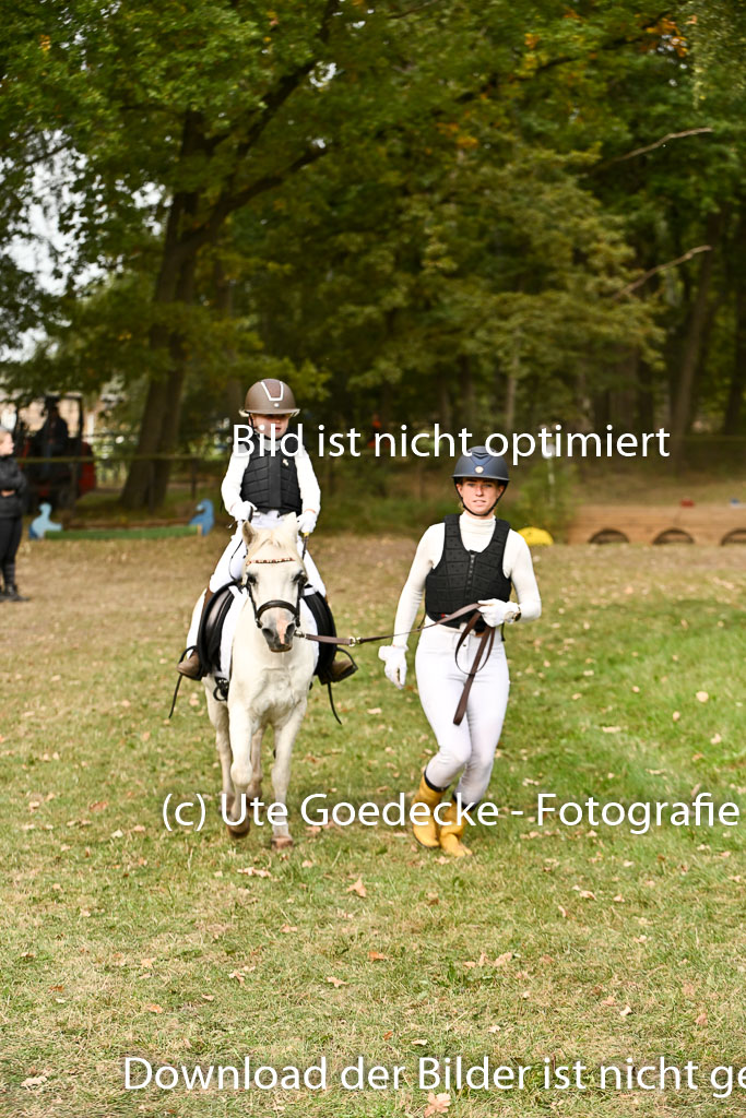 | 27092025  Führzügel WB _028 