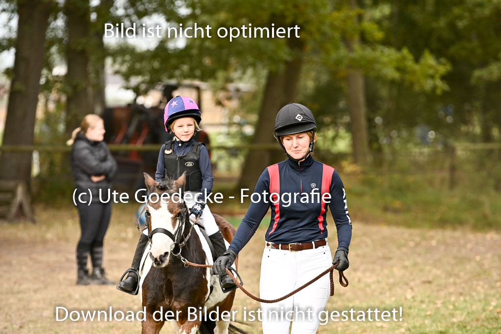  | 27092025  Führzügel WB _029 
