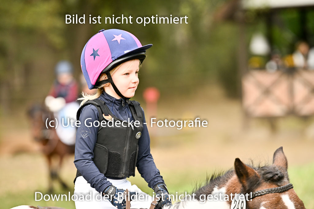  | 27092025  Führzügel WB _030 