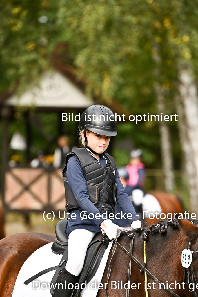  | 27092025  Führzügel WB _044 