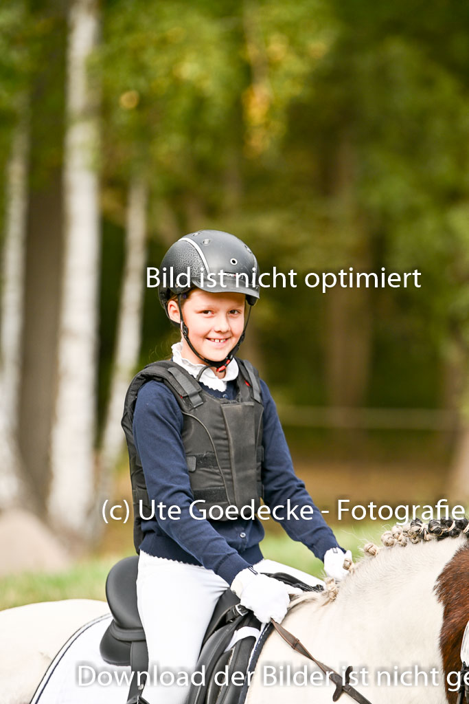  | 27092025  Führzügel WB _047 