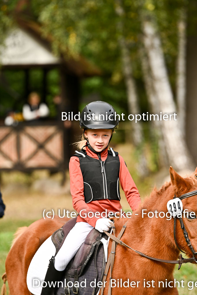  | 27092025  Führzügel WB _048 