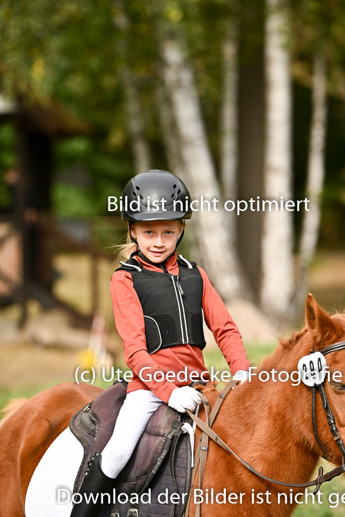  | 27092025  Führzügel WB _049 