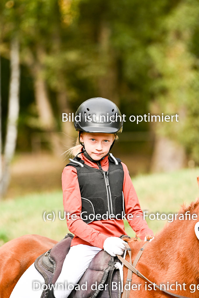  | 27092025  Führzügel WB _050 