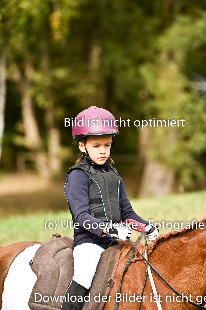  | 27092025  Führzügel WB _051 