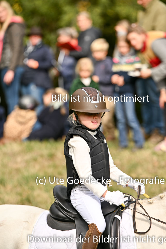  | 27092025  Führzügel WB _055 
