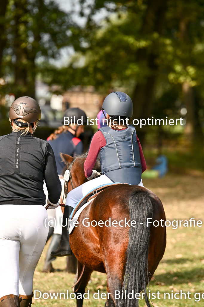  | 27092025  Führzügel WB _062 