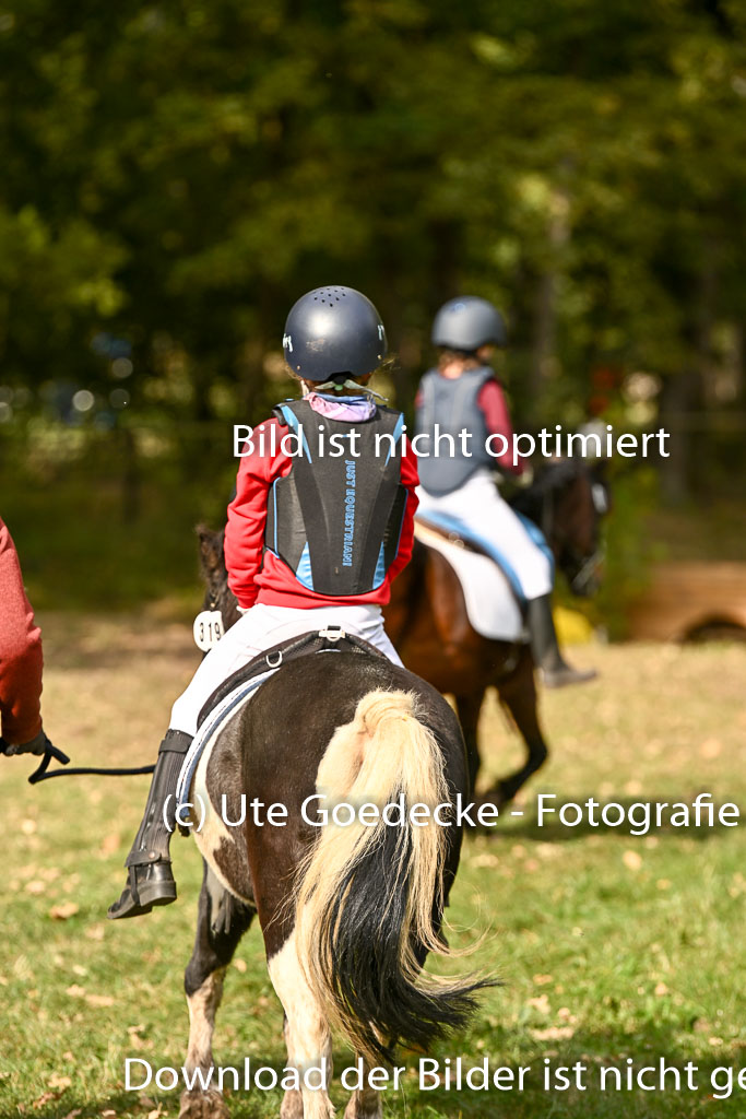  | 27092025  Führzügel WB _064 