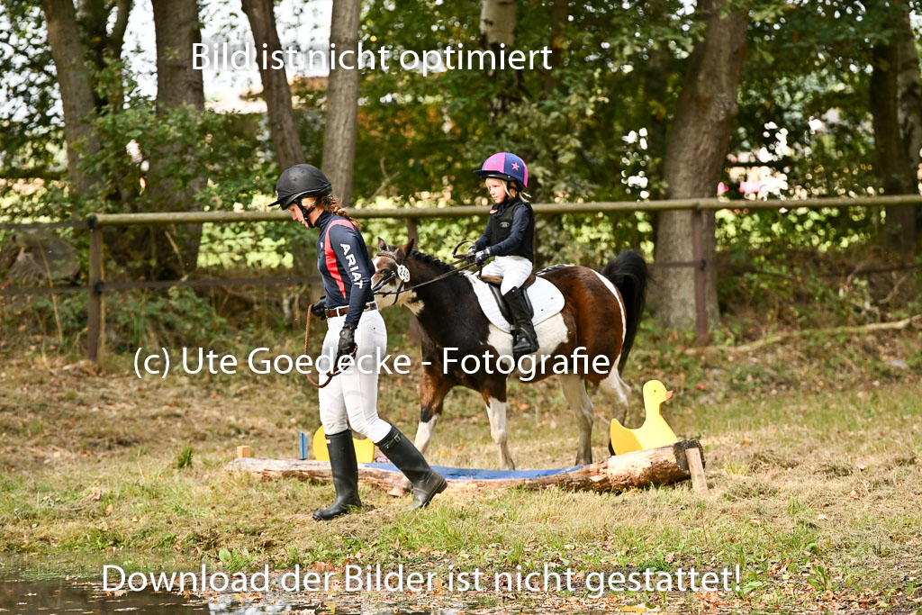  | 27092025  Führzügel WB _069 