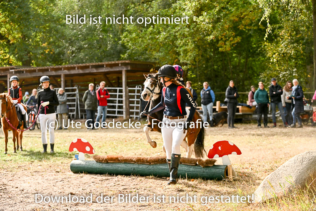  | 27092025  Führzügel WB _071 