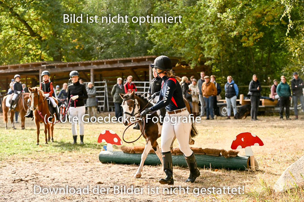  | 27092025  Führzügel WB _072 