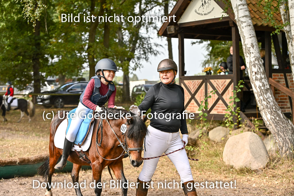  | 27092025  Führzügel WB _075 