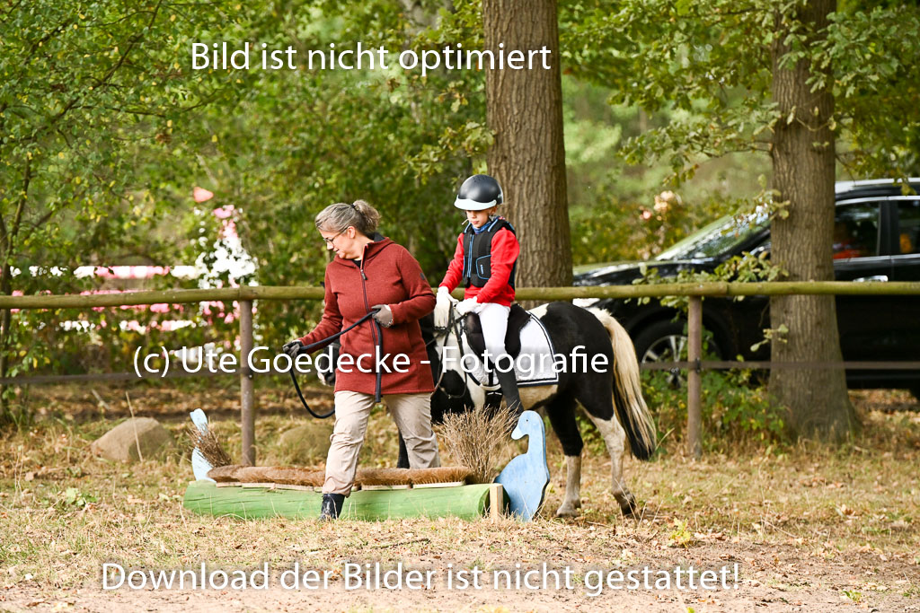  | 27092025  Führzügel WB _076 
