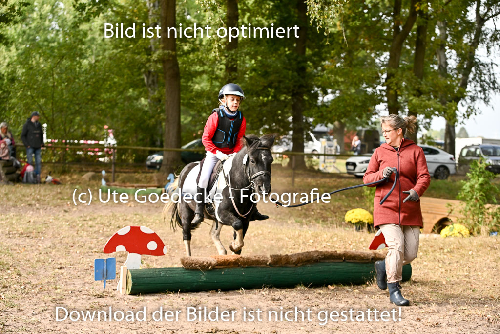  | 27092025  Führzügel WB _077 