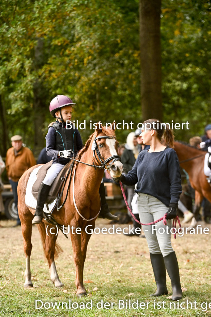  | 27092025  Führzügel WB _080 