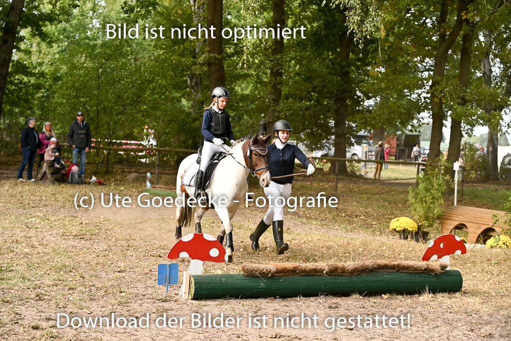  | 27092025  Führzügel WB _083 