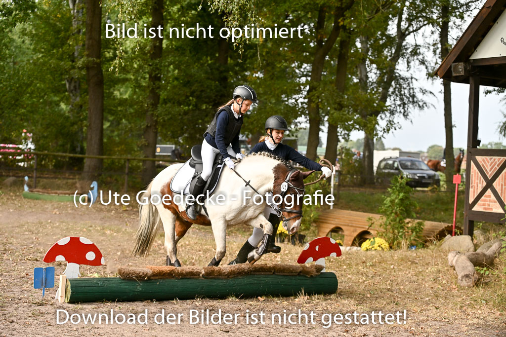  | 27092025  Führzügel WB _085 