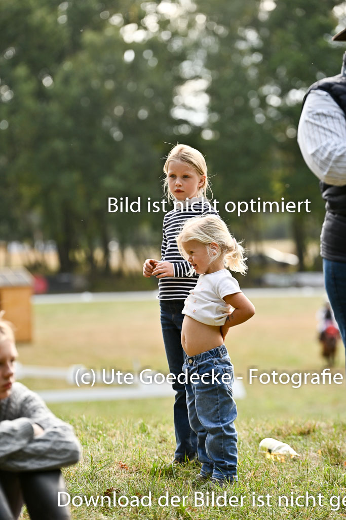  | 27092025  Führzügel WB _086 