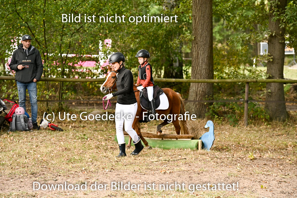  | 27092025  Führzügel WB _088 