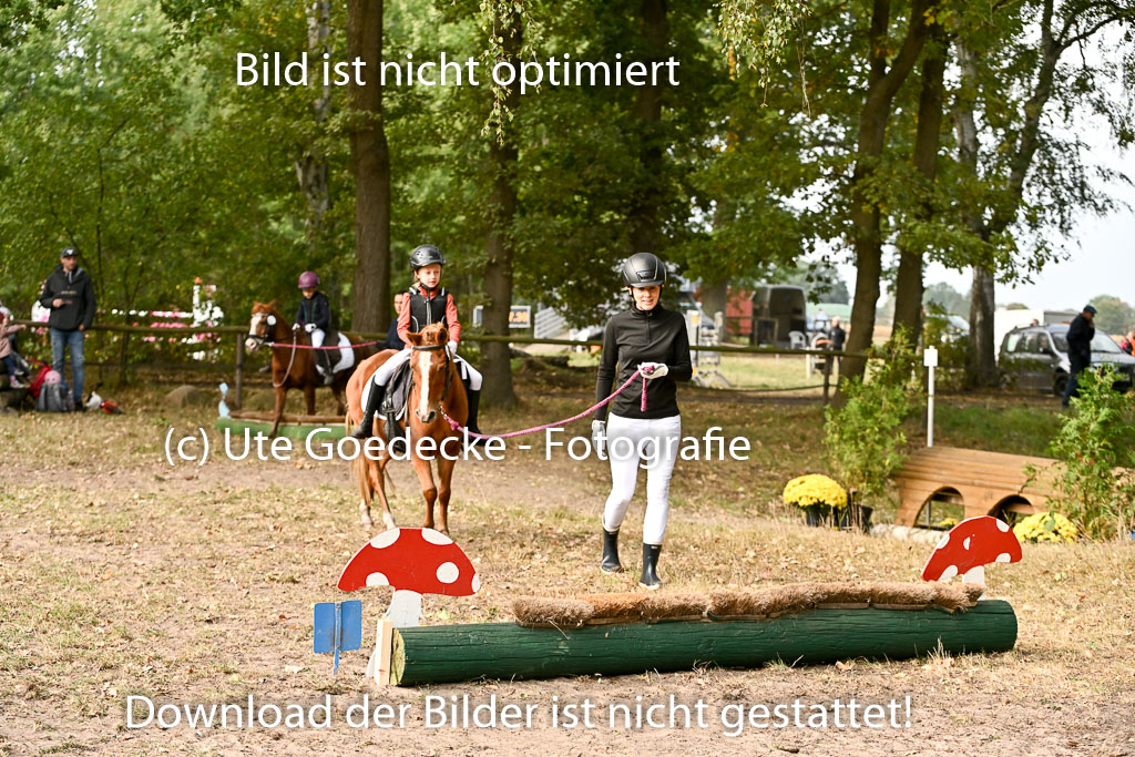  | 27092025  Führzügel WB _089 