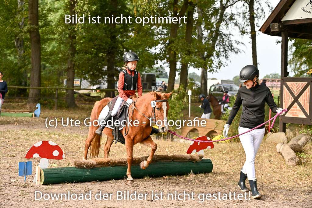  | 27092025  Führzügel WB _090 