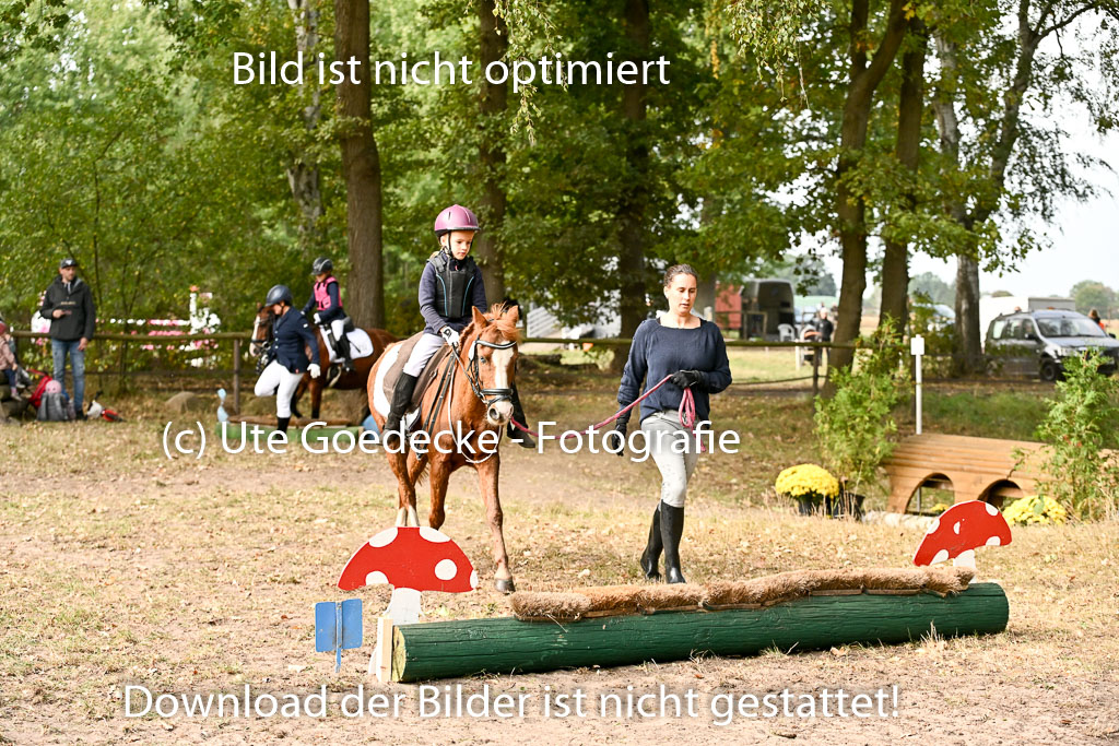  | 27092025  Führzügel WB _091 
